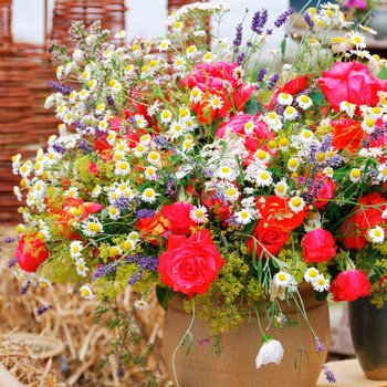 Букет из летних цветов